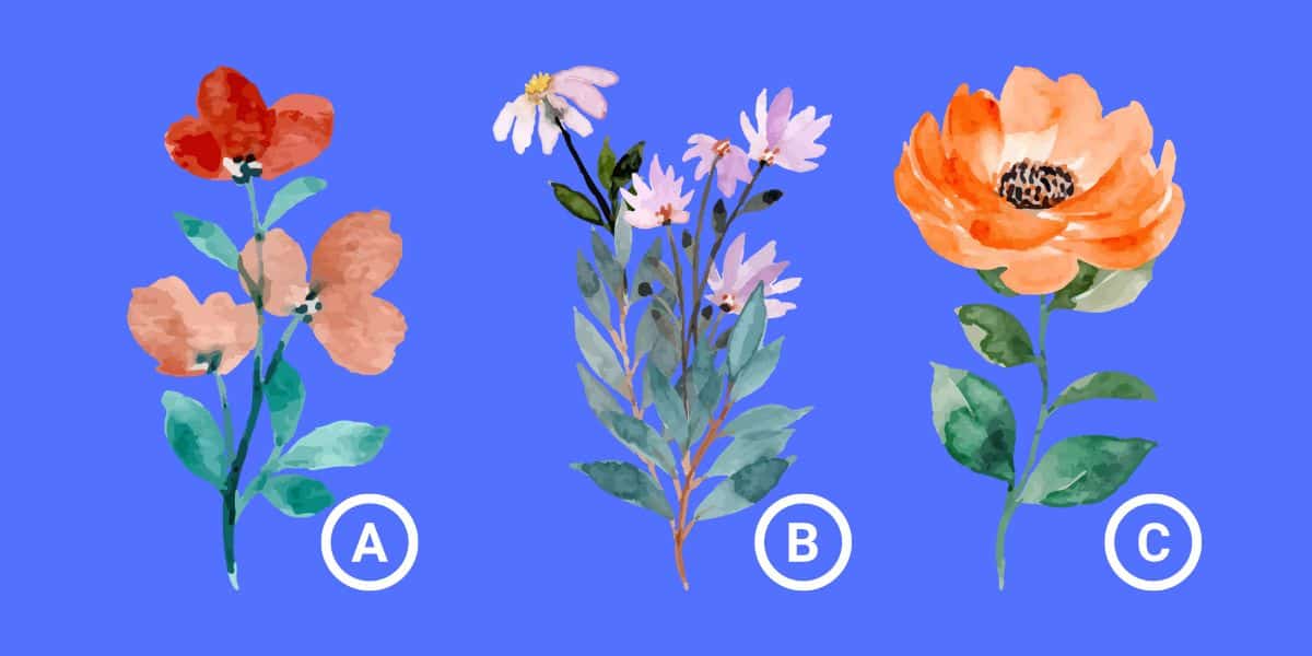 Personality test: Which flower resonates with you? Discover the core values that drive your life decisions!