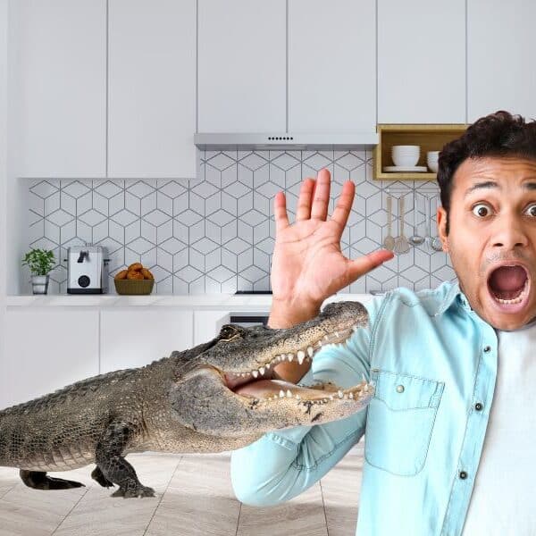 Florida homeowner's shocking encounter with an 8-foot alligator in the kitchen