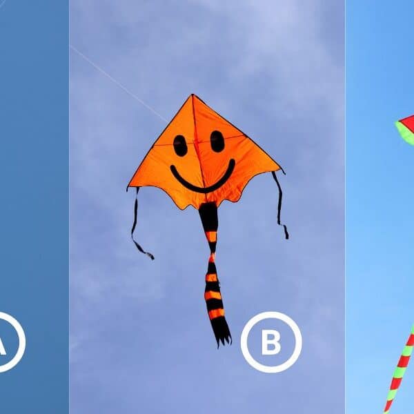 Personality test: Discover the qualities you value most in relationships by choosing a kite!